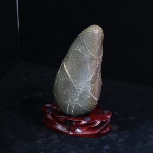 Psychic shield upgrade，Blocks energy vampires in crowded spaces.037