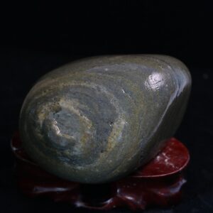 Authentic voice amplifier: Hold during speeches for magnetic presence052